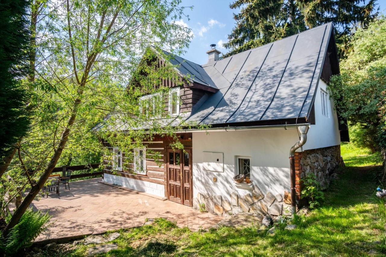Ferienwohnung Roubenka Mustelka Rokytnice nad Jizerou Exterior foto