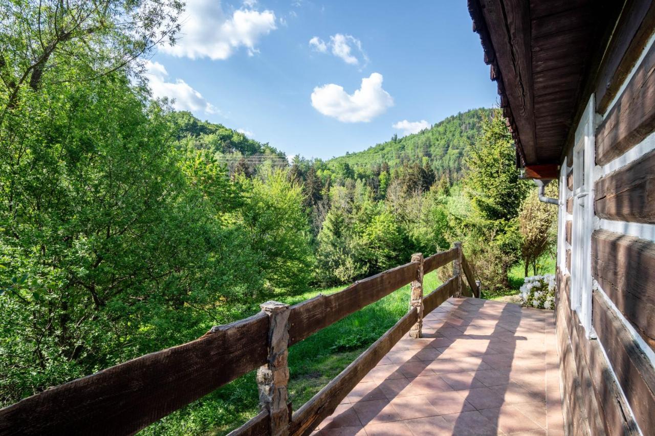 Ferienwohnung Roubenka Mustelka Rokytnice nad Jizerou Exterior foto